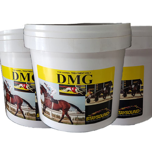 dmg 3000 horse supplement